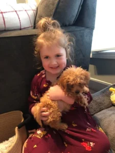 “FiFi” The Maltipoo In Her New Home!