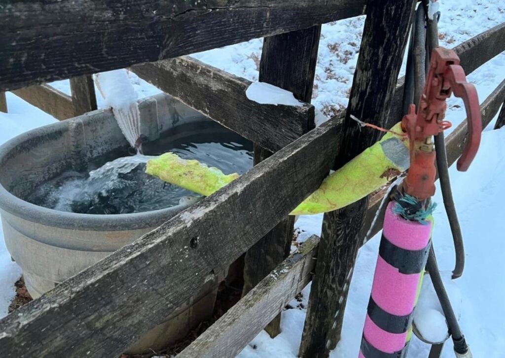 Transfer Water In With When Your Hose Is Frozen