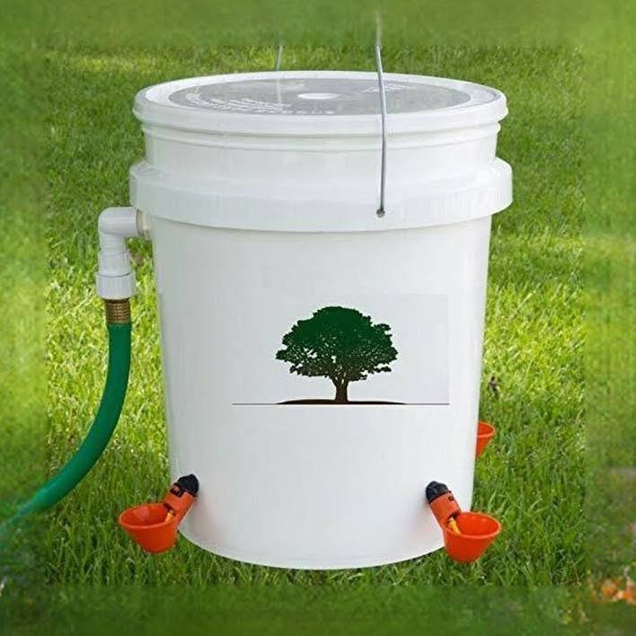 DIY 5-Gallon Chicken Waterer: Easy Hydration for Your Flock