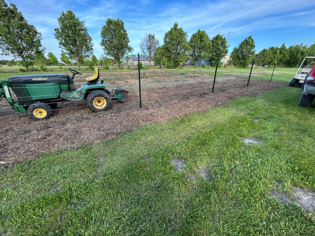 DIY Tomato Trellis That Beats Tomato Cages Every Time