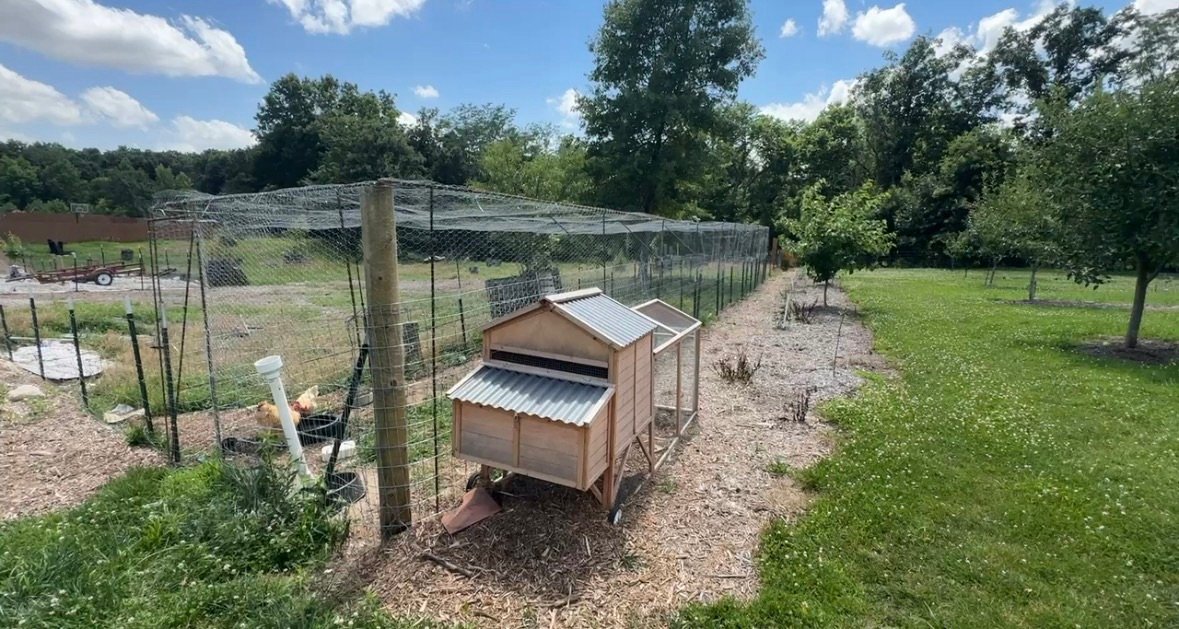 How I Built a 10×75 Predator-Proof Chicken Run (DIY Guide)