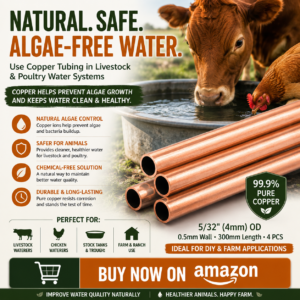 Does Copper Prevent Algae in Livestock Water? My 5-Day Test